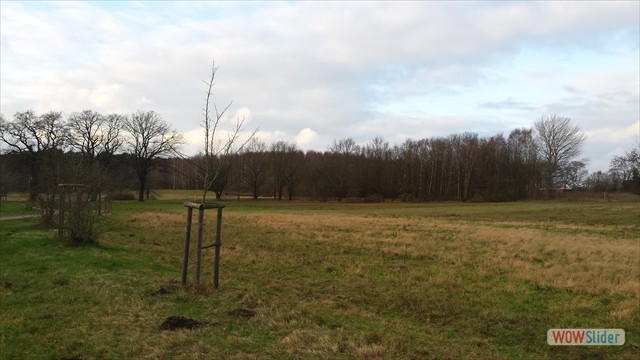 Bild10