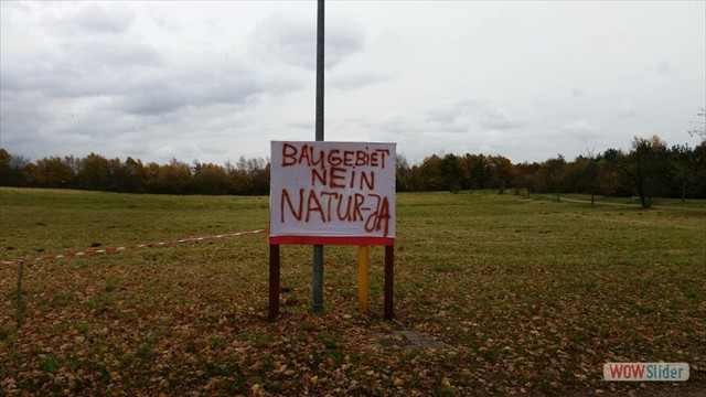 Bild12
