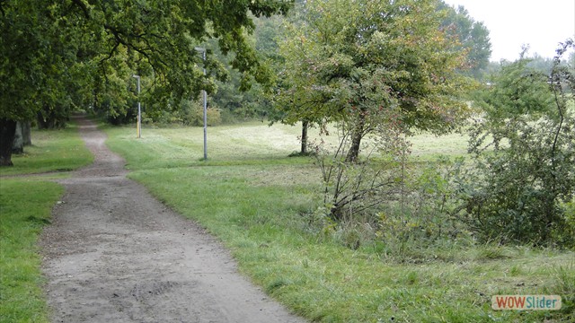 Bild16
