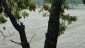 Bild18