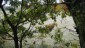 Bild19