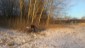 Bild32